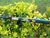 Boma tecnolimit-xtr150 carbon 100%