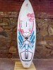 Fanatic Allwave 92lt