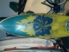 Surf onda brasilian