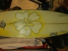 Surf onda brasilian