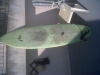 tavola surf fish