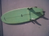 tavola surf fish