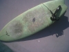 tavola surf fish