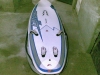 Vendo tavola Hornet 154 robusta veloce come nuova con sacca