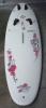 windsurf completo 149L  deriva a scomparsa