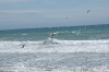 dsc_0597.jpg