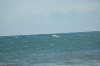 dsc_3257.jpg