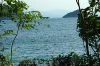 dsc_4405.jpg