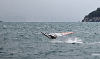dsc_8422.jpg