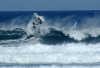fwc0105.jpg