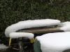 neve.jpg