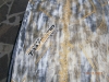 Rrd Twintip 100 LTD. V2