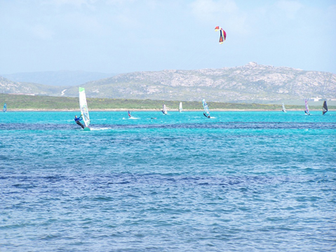 windsurf-nel-campo-di-regata.JPG
