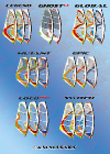 15_wavesails_graphic.jpg