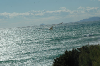 dsc_2026.jpg