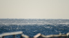 dsc_2554.jpg