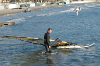dsc_4751m.jpg