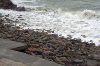 dscf0878.jpg