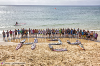 fv15_ls_sailors_peter_volwater_tribute.jpg