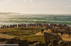 lt14_ls_waves_on_the_point.jpg